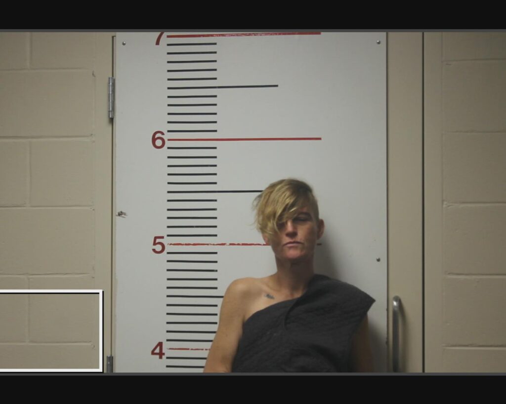 PAROLINI, ASHLEY MICHELE arrested in Anderson County, Texas mugshot