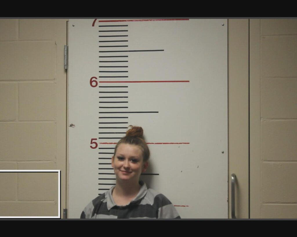 DUNN, DIAMOND LASHAYE arrested in Anderson County, Texas mugshot