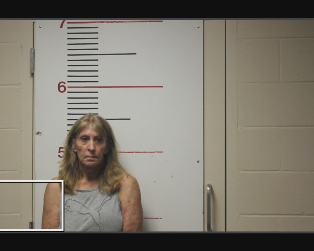 TIDWELL, BELINDA DAWN arrest record in Anderson County, Texas TIDWELL, BELINDA DAWN arrested in Anderson County, Texas mugshot