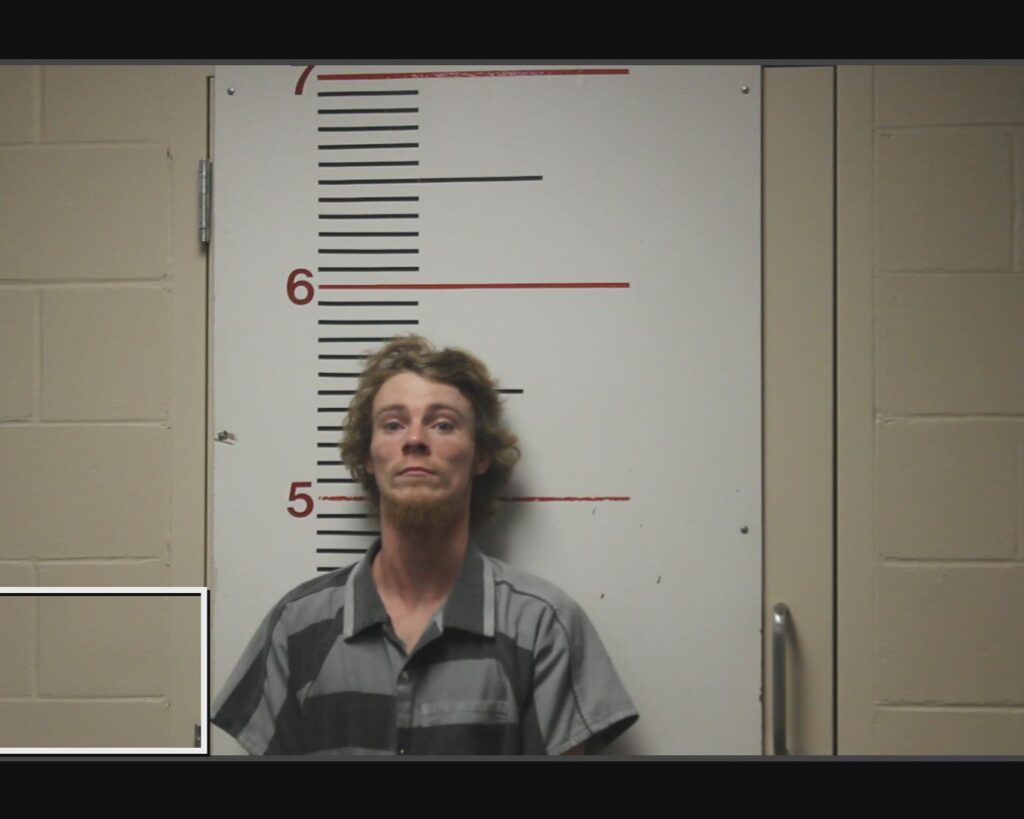 STANALAND, CHRISTIAN arrested in Anderson County, Texas mugshot