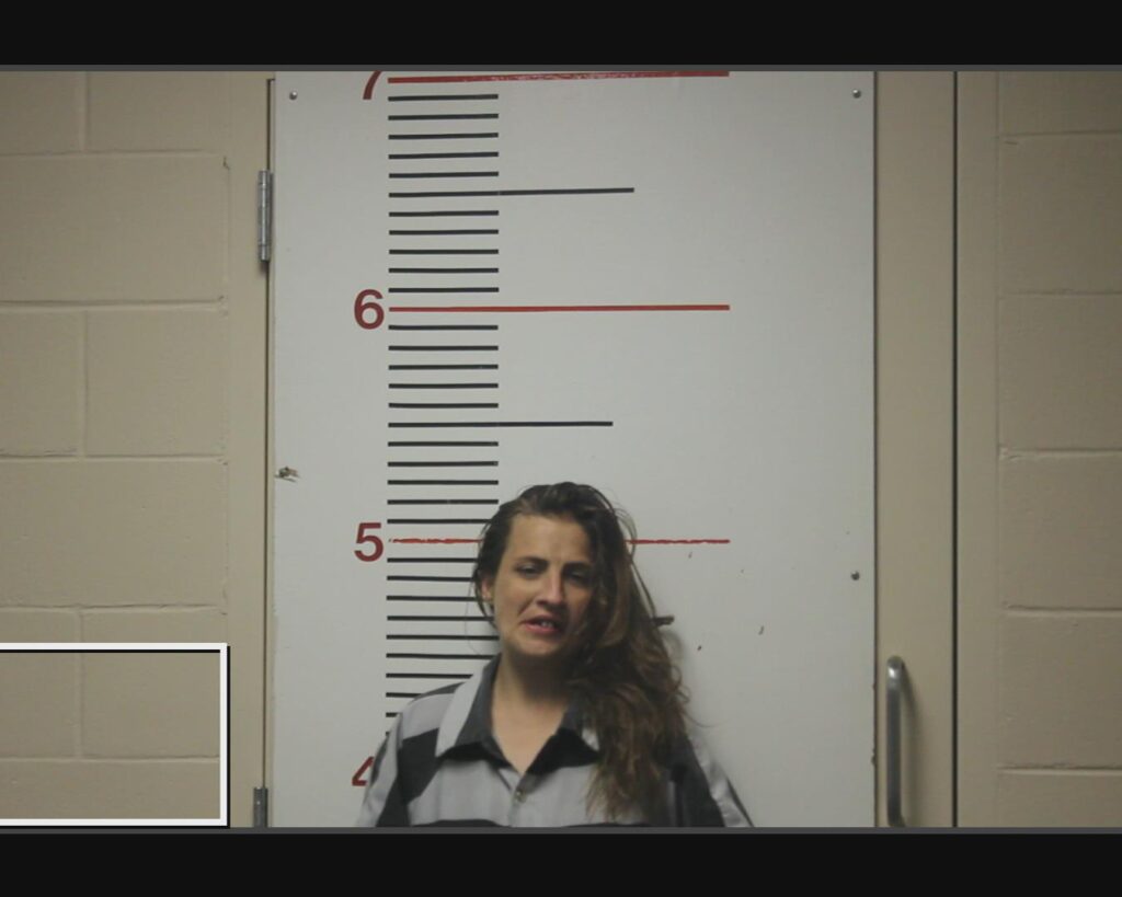 GIBSON, SHELBY LYNN arrested in Anderson County, Texas mugshot