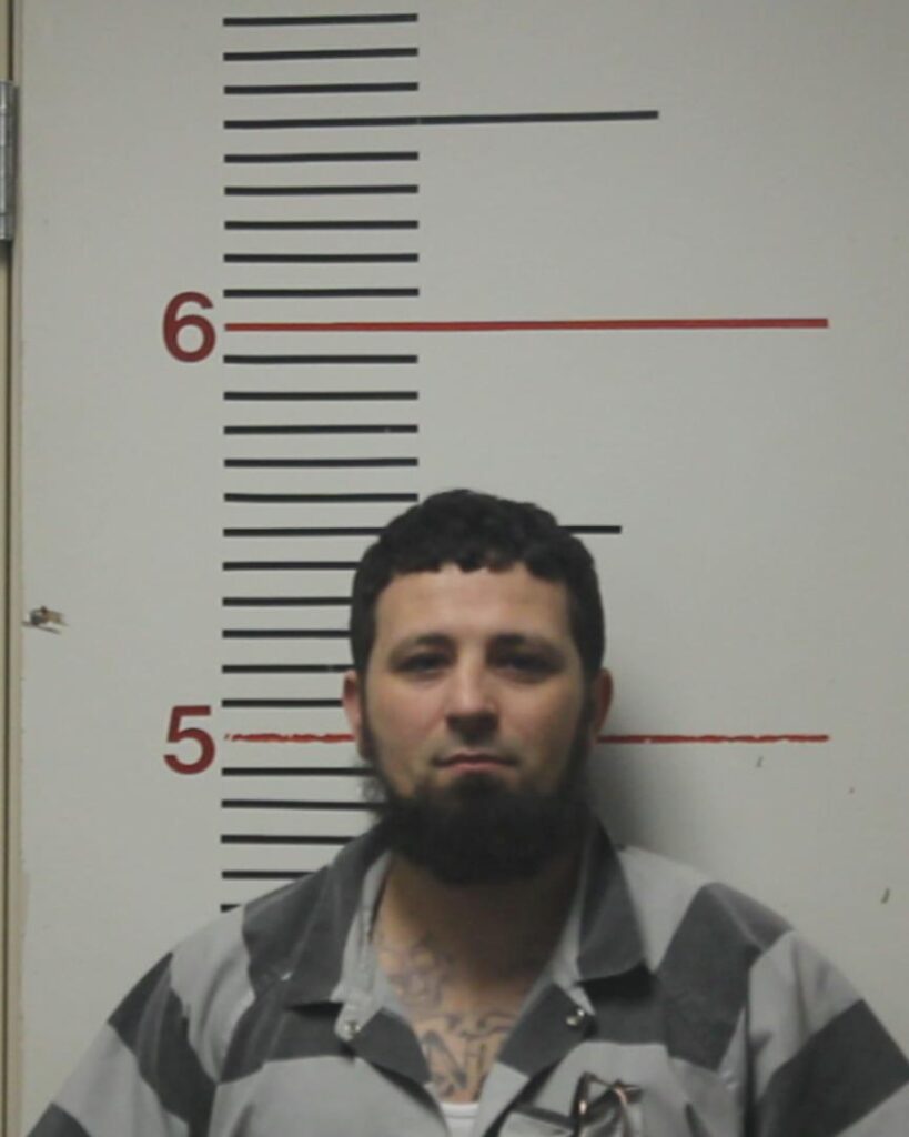 JOHNSON, JAMES HAROLD, Jr. arrest record in Anderson County, Texas JOHNSON, JAMES HAROLD, Jr. arrested in Anderson County, Texas mugshot
