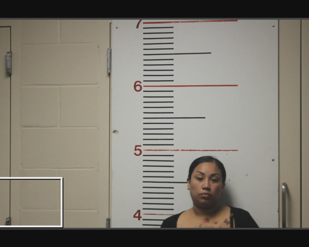 RODRIGUEZ, TIFFANY YBARRA arrested in Anderson County, Texas mugshot