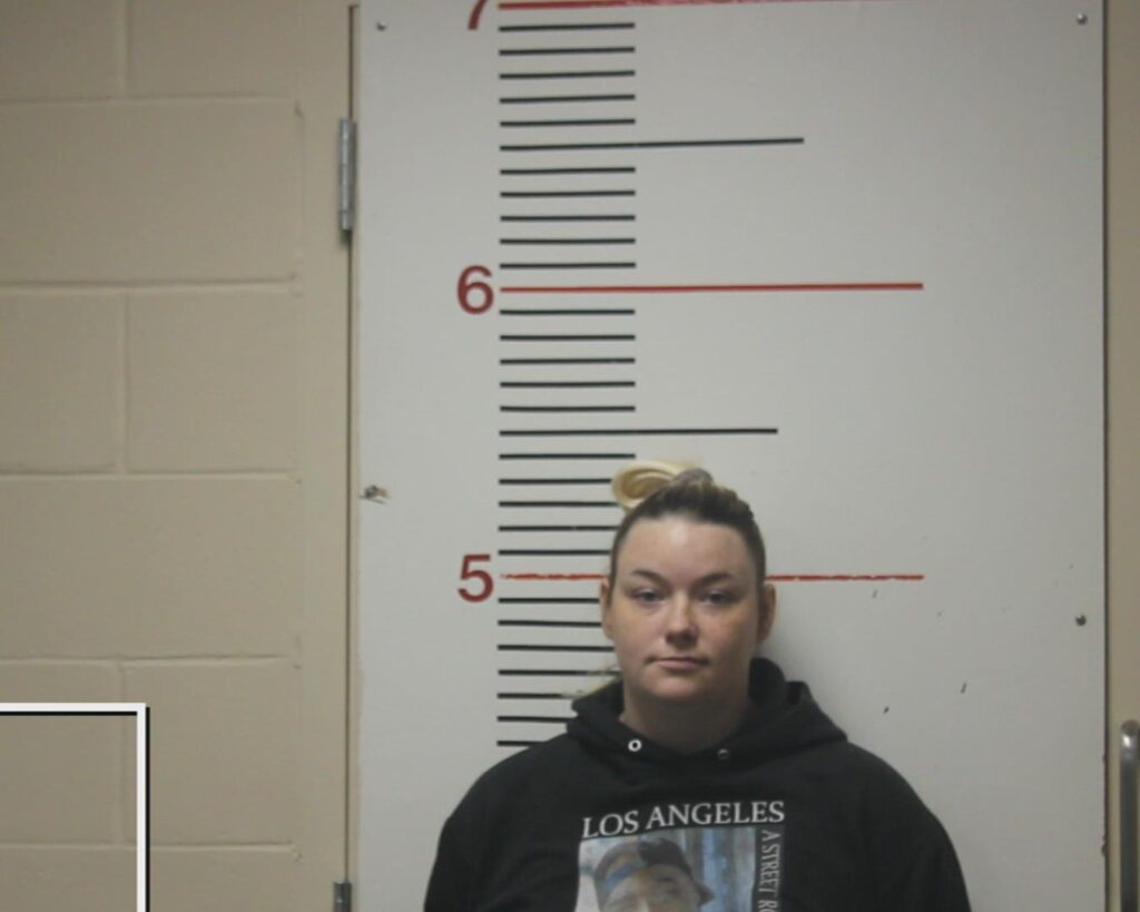 PAINTER, DALLAS MARIE arrest record in Anderson County, Texas PAINTER, DALLAS MARIE arrested in Anderson County, Texas mugshot