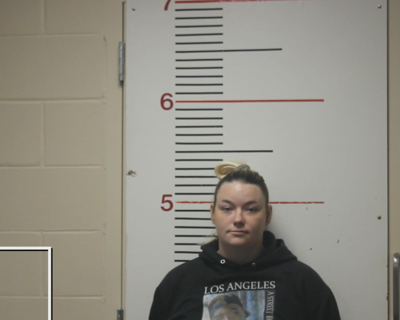 PAINTER, DALLAS MARIE booking photo