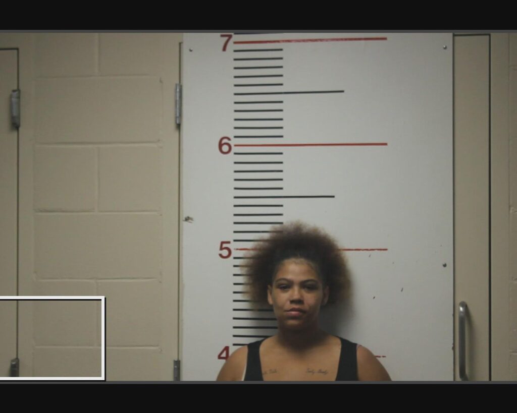 NIX, DESTYNI LYRIC arrested in Anderson County, Texas mugshot
