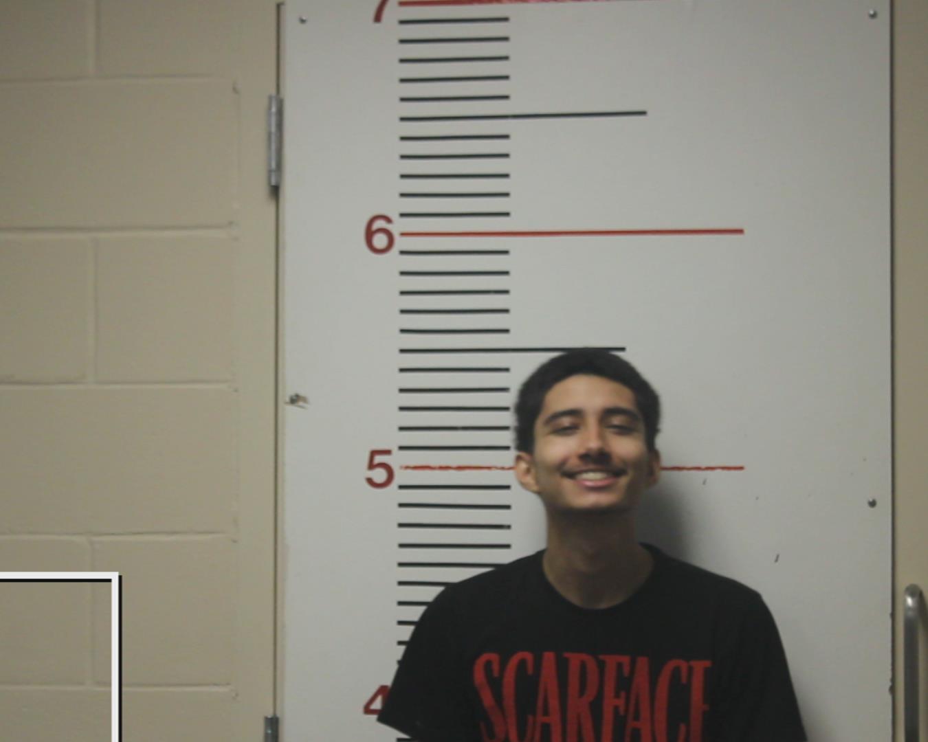 PALACIOS, JULIO booking photo