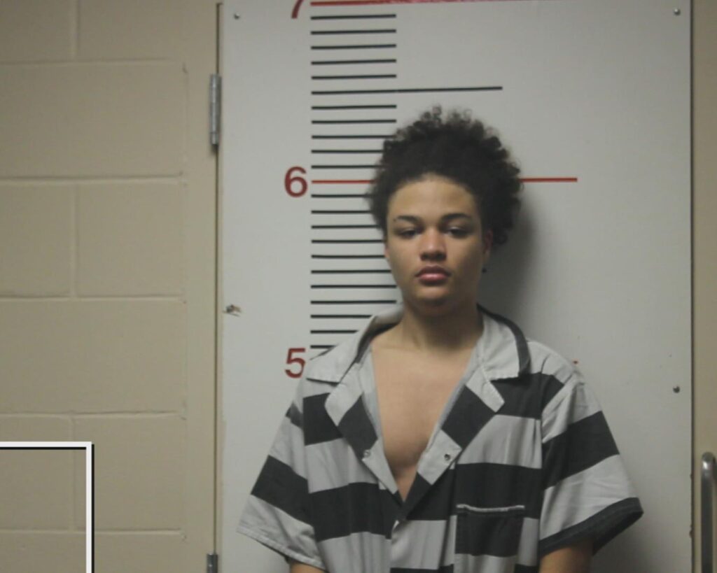 PAYNE, JIMMIE DON arrested in Anderson County, Texas mugshot