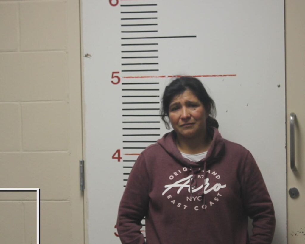 LOPEZ, ROSELIA FIDELIA arrest record in Anderson County, Texas LOPEZ, ROSELIA FIDELIA arrested in Anderson County, Texas mugshot