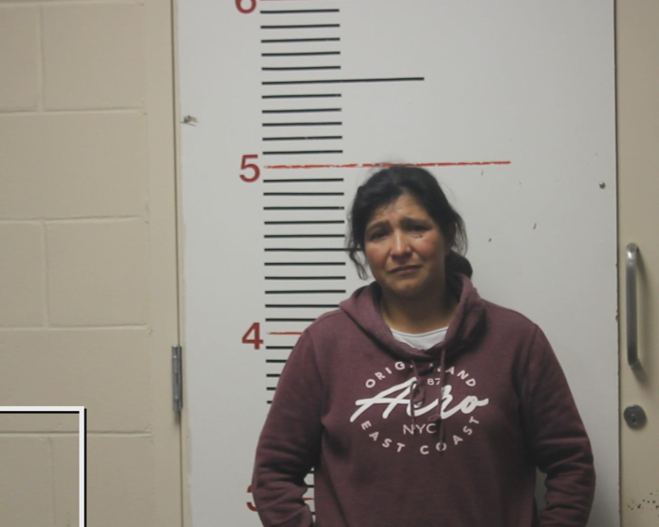 LOPEZ, ROSELIA FIDELIA booking photo