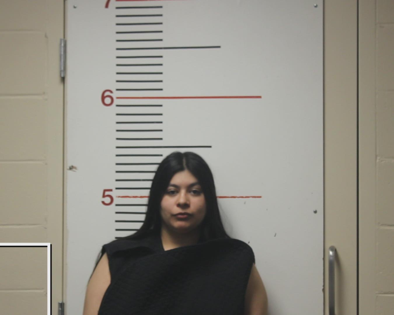 RANGEL, JESSICA booking photo