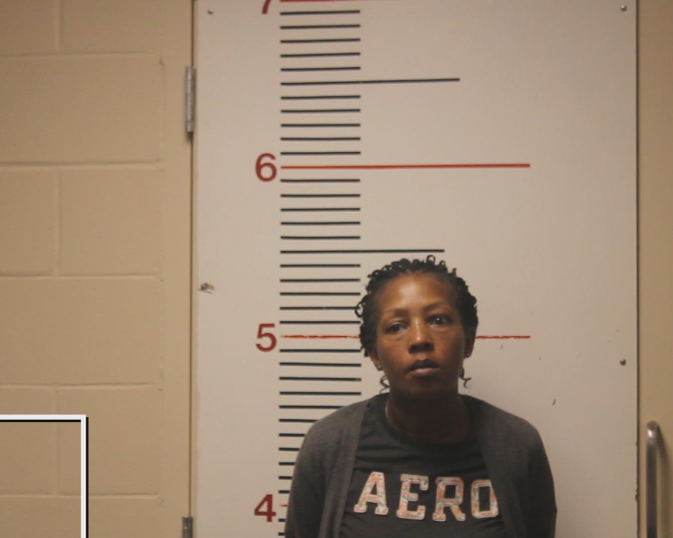 SMITH, KAREN booking photo