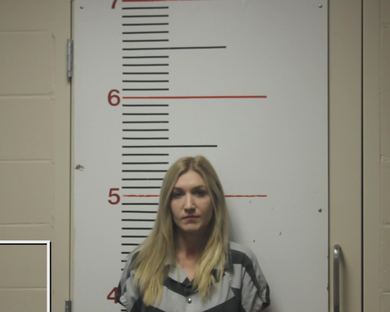 JAMESON, MIRANDA DAWN booking photo