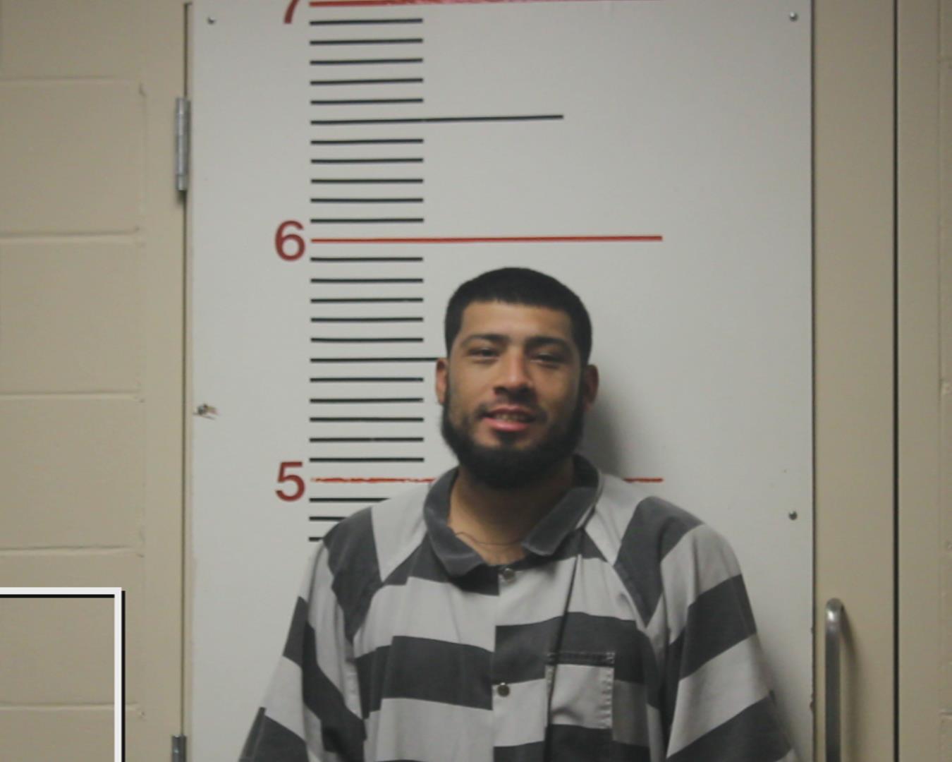 DELAROSA, ISRAEL booking photo