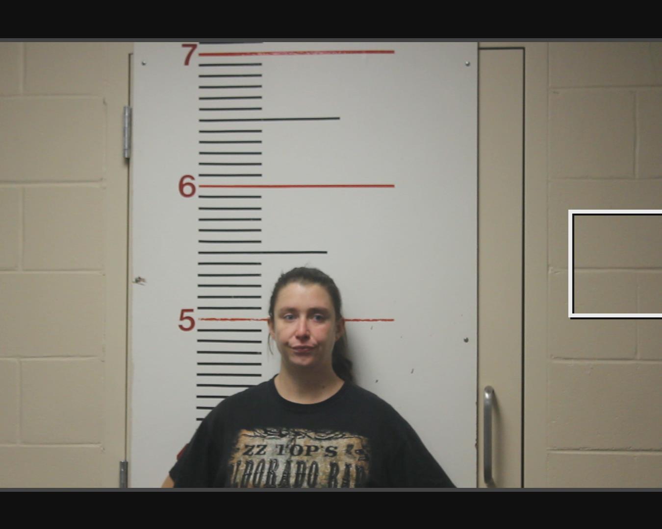 WEBB, ASHLEY NICOLE booking photo