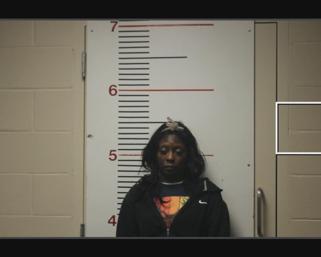 CLEWIS, CHARITY TRASHAE arrested in Anderson County, Texas mugshot