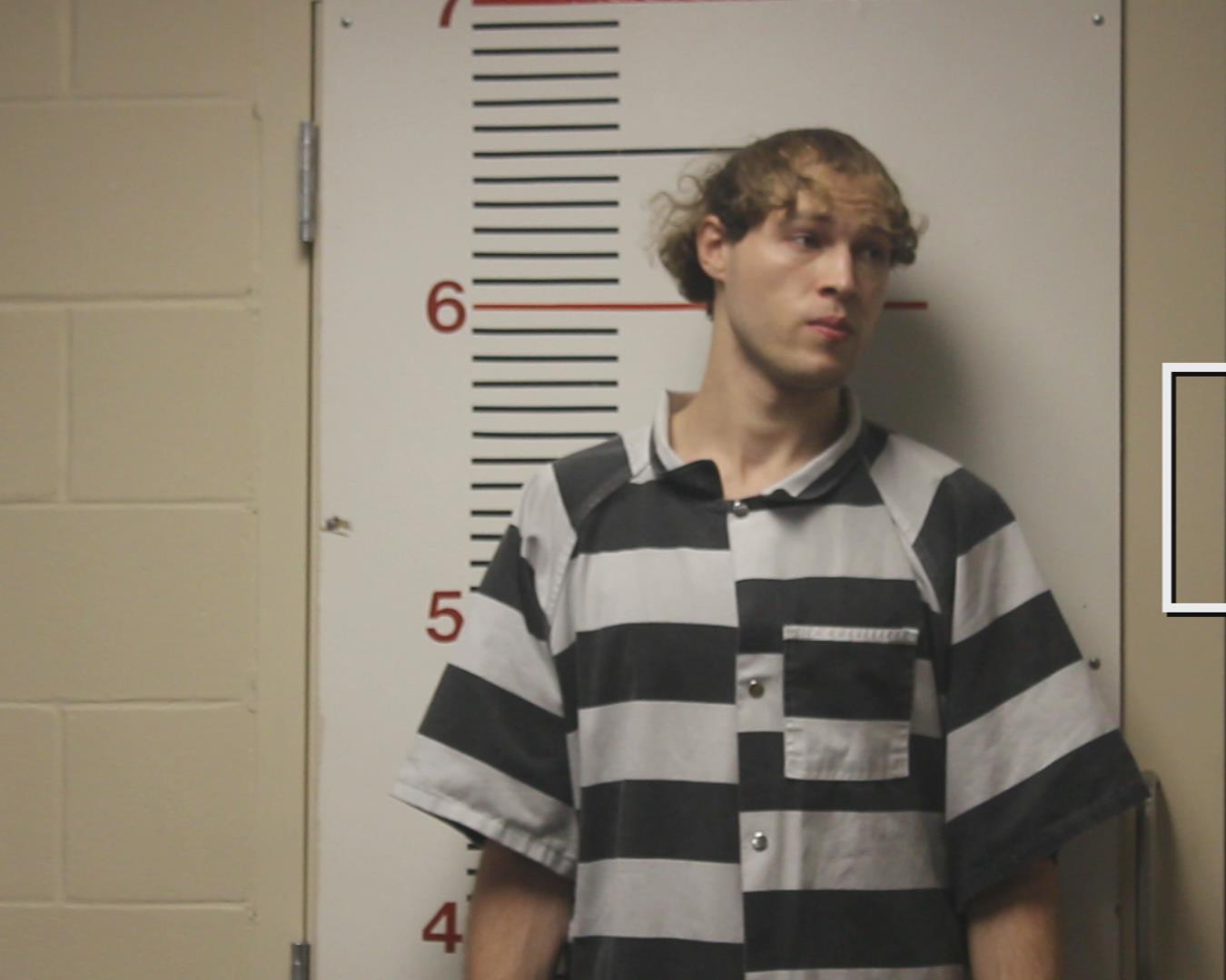 COLE, DOMINIC JORDAN booking photo