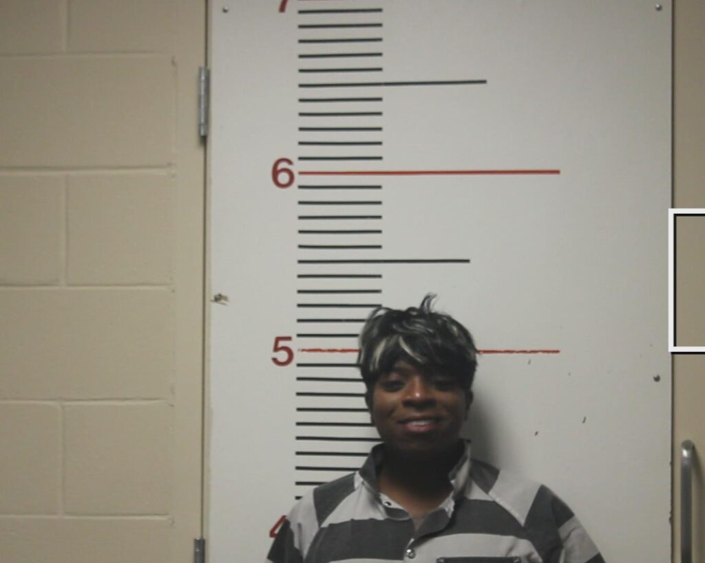 BIRDOW, BRANDON DWAINE arrest record in Anderson County, Texas BIRDOW, BRANDON DWAINE arrested in Anderson County, Texas mugshot