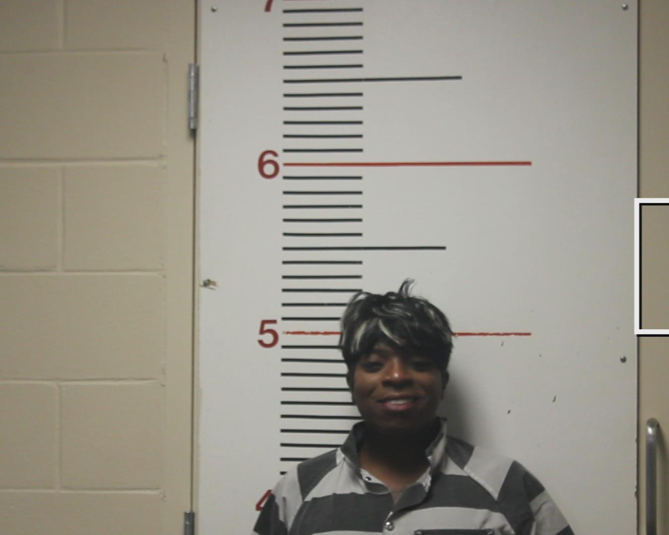 BIRDOW, BRANDON DWAINE booking photo