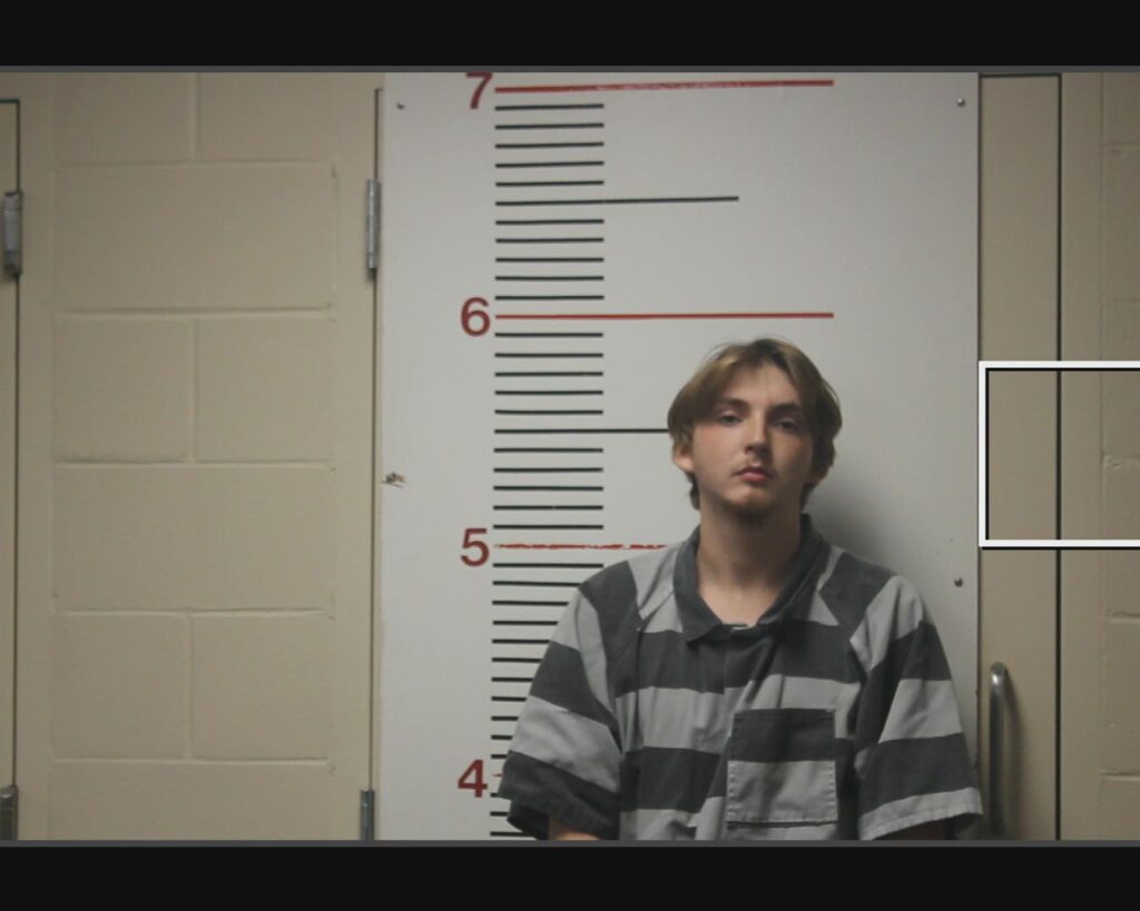 ARMSTRONG, DAYTON LEE arrest record in Anderson County, Texas ARMSTRONG, DAYTON LEE arrested in Anderson County, Texas mugshot