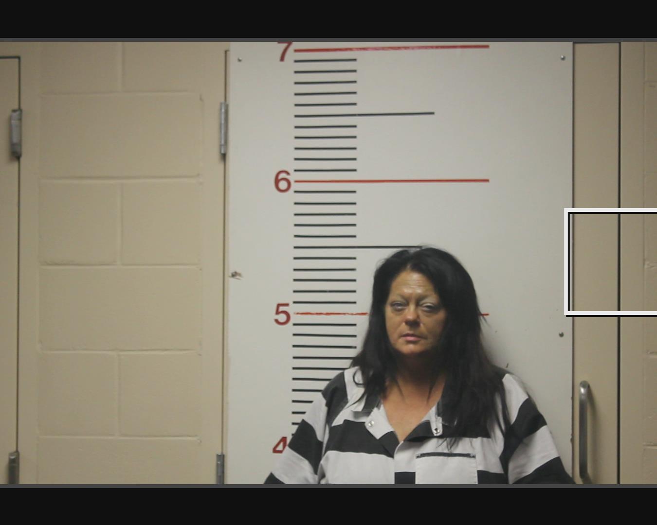 HARMON, LISA RAYE booking photo