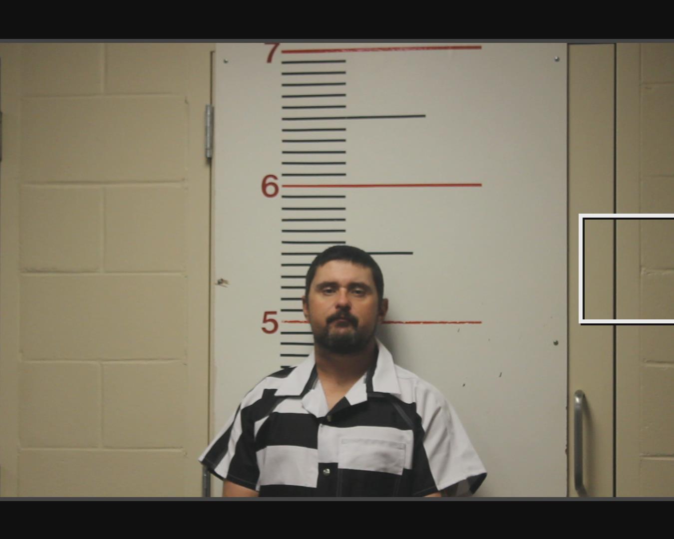 NELSON, DALLAS WILLIAM booking photo