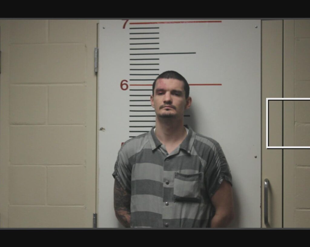HADDOCK, ASHER SETH arrested in Anderson County, Texas mugshot