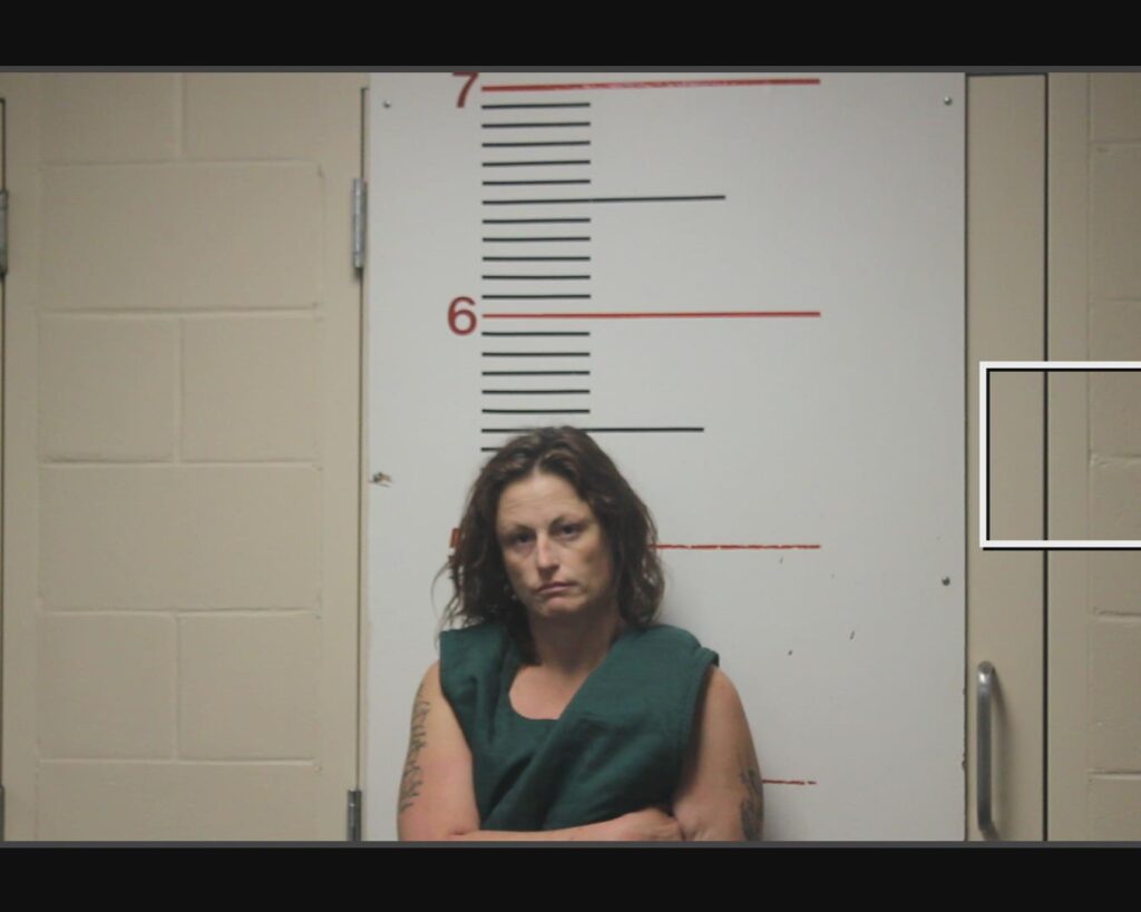 BOUCHER, AMBER RENEE arrest record in Anderson County, Texas BOUCHER, AMBER RENEE arrested in Anderson County, Texas mugshot