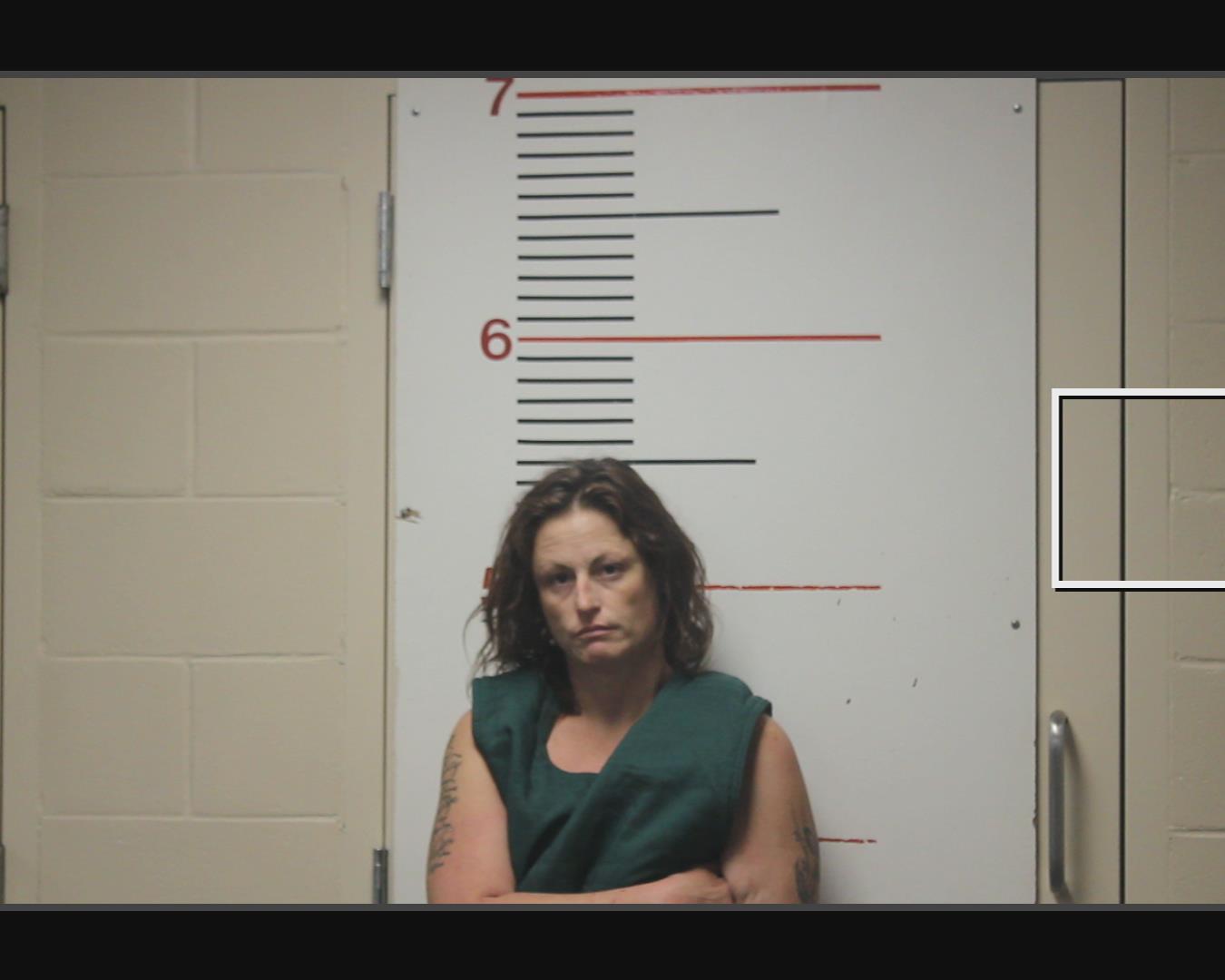 BOUCHER, AMBER RENEE booking photo