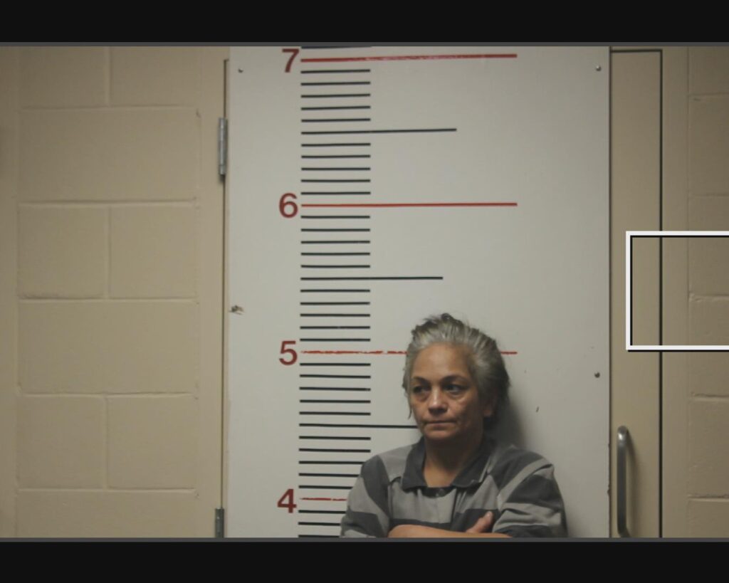 PEREZ, LETICIA arrest record in Anderson County, Texas PEREZ, LETICIA arrested in Anderson County, Texas mugshot