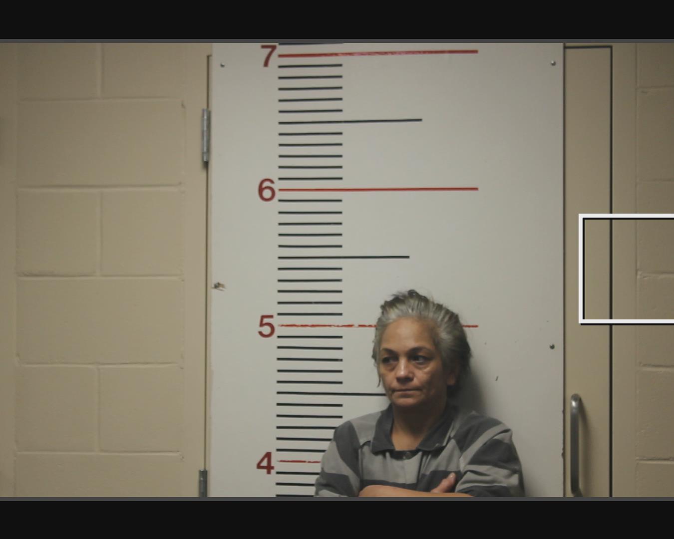 PEREZ, LETICIA booking photo