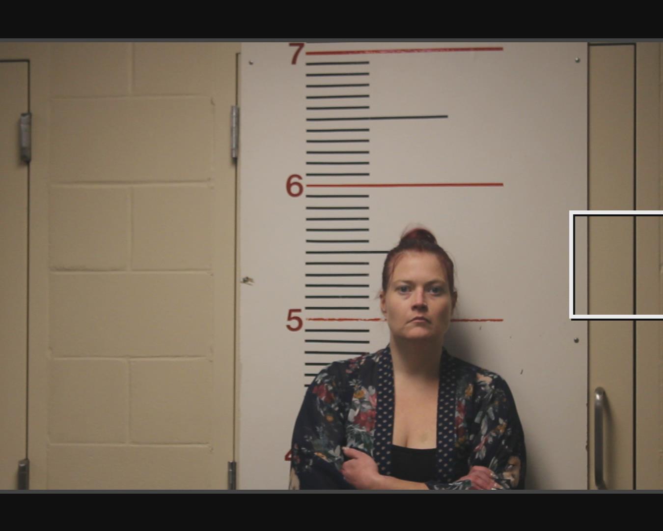 SHIPP, BARBARA IRENE booking photo