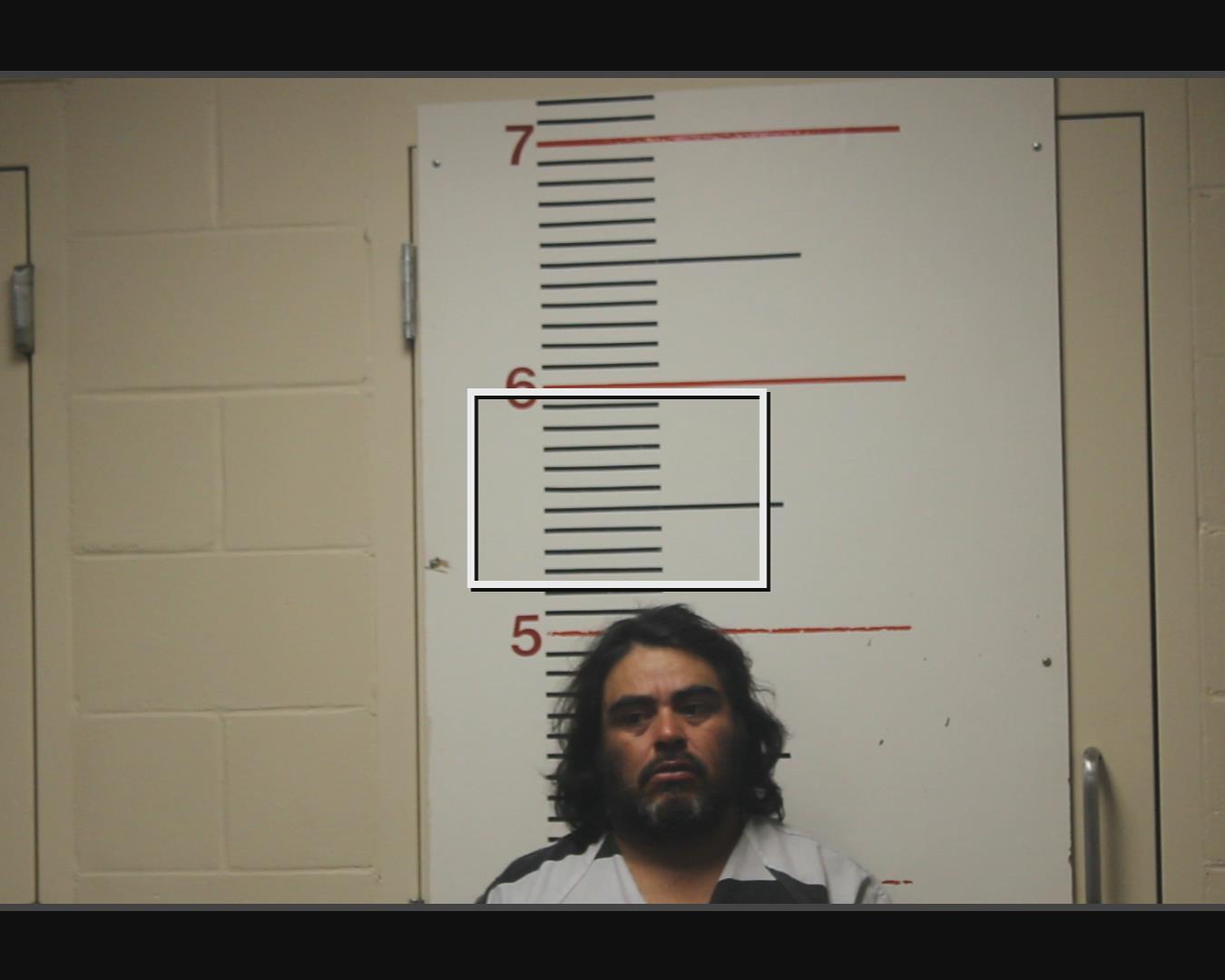 CERVANTES, CELESTINO booking photo