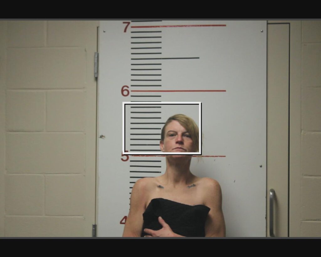 PAROLINI, ASHLEY MICHELE arrest record in Anderson County, Texas PAROLINI, ASHLEY MICHELE arrested in Anderson County, Texas mugshot