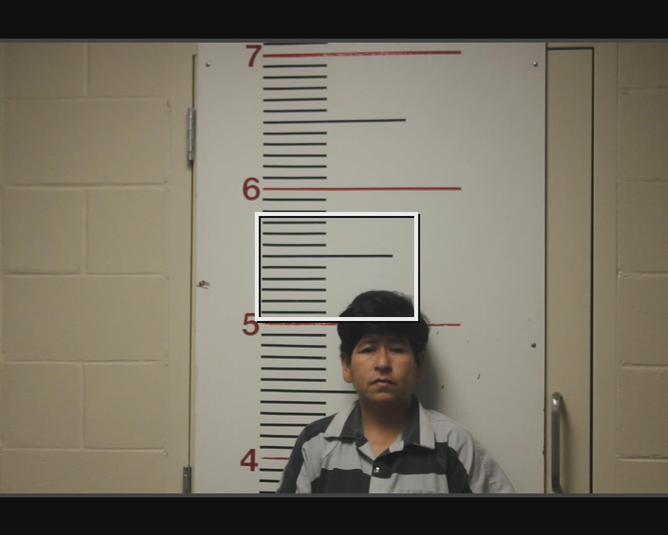 HERNANDEZ, LEIDY booking photo