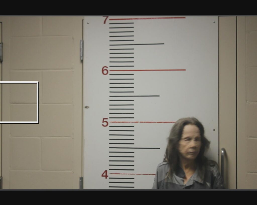 PENLAND, CYNTHIA CARR arrested in Anderson County, Texas mugshot
