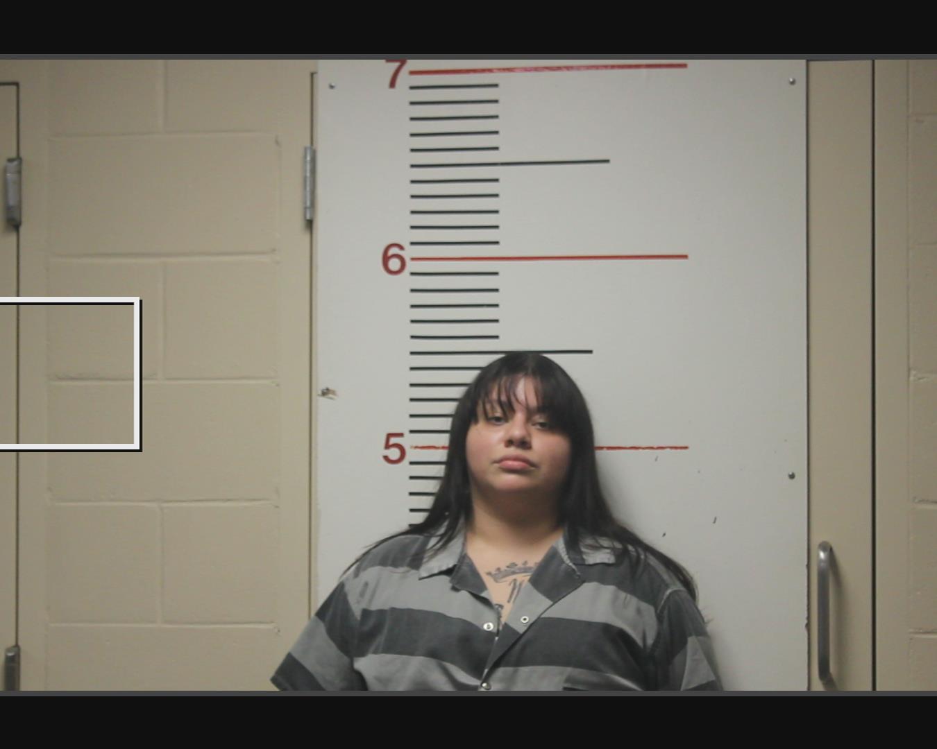 ALVARADO, ASHLEY MARIE booking photo