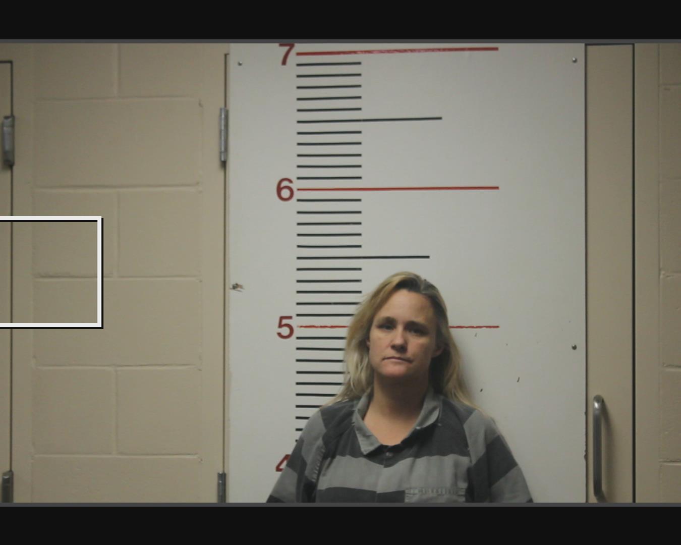 NOLAN, STEPHANIE booking photo