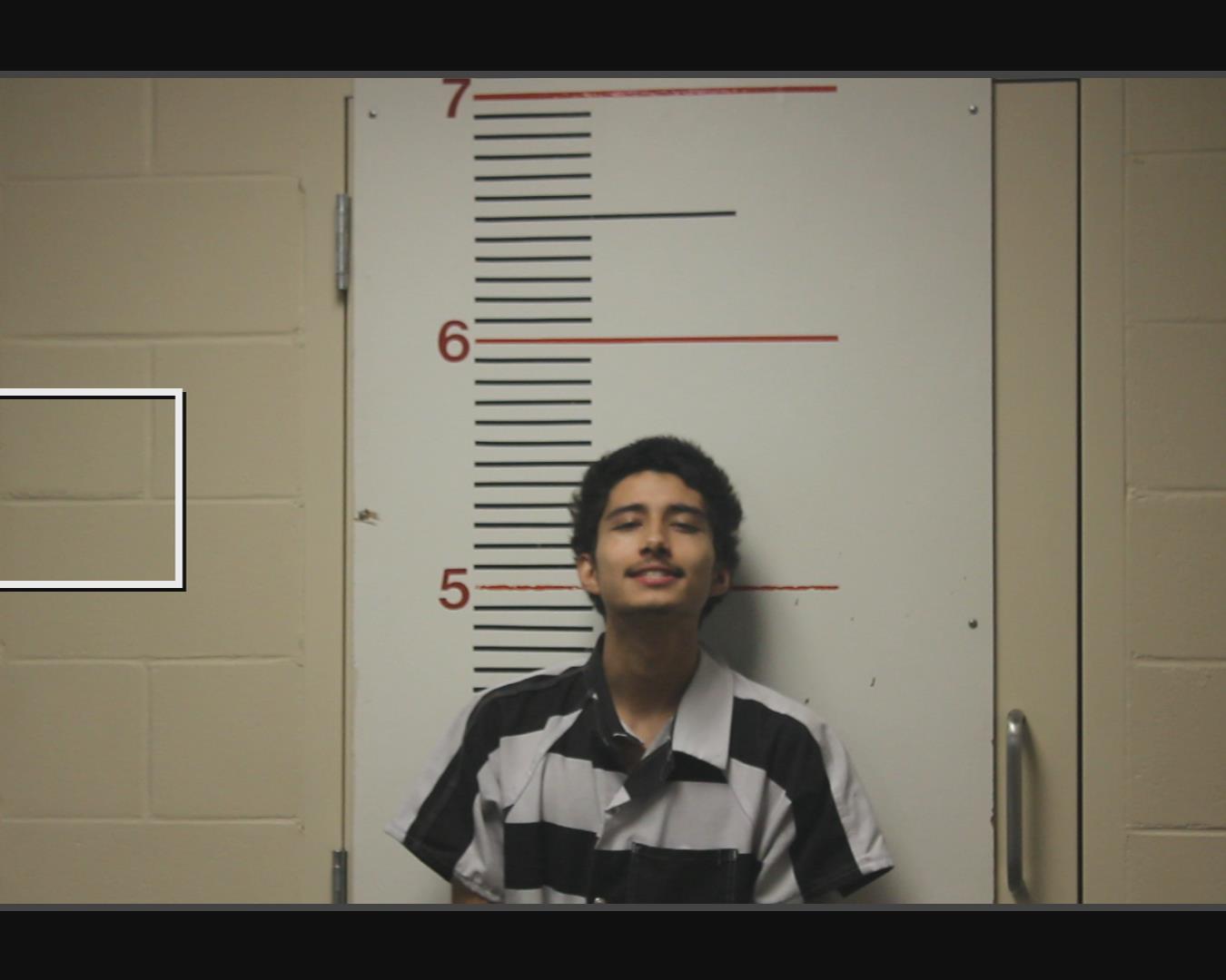 PALACIOS, JULIO ANTONIO booking photo