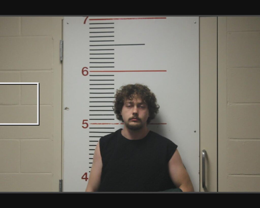 BOYD, LOGAN arrested in Anderson County, Texas mugshot