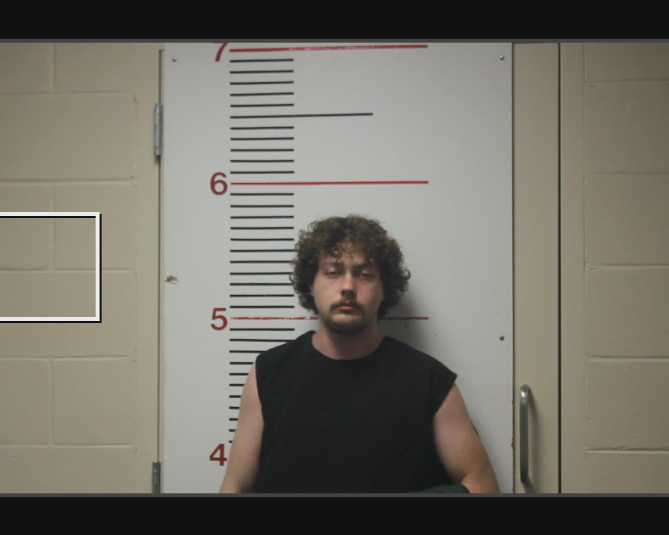 BOYD, LOGAN booking photo