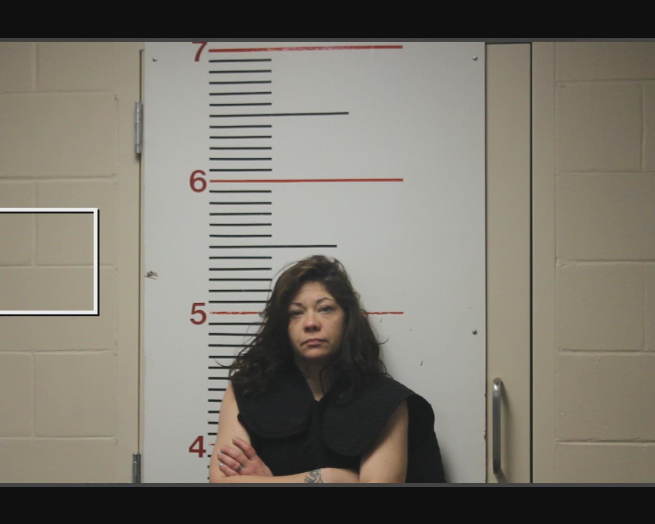 HARVEY, KAREN booking photo