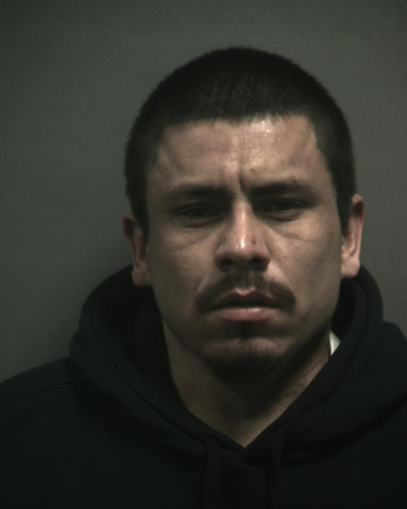 SANCHEZ-MINJARES, LEOPOLDO booking photo