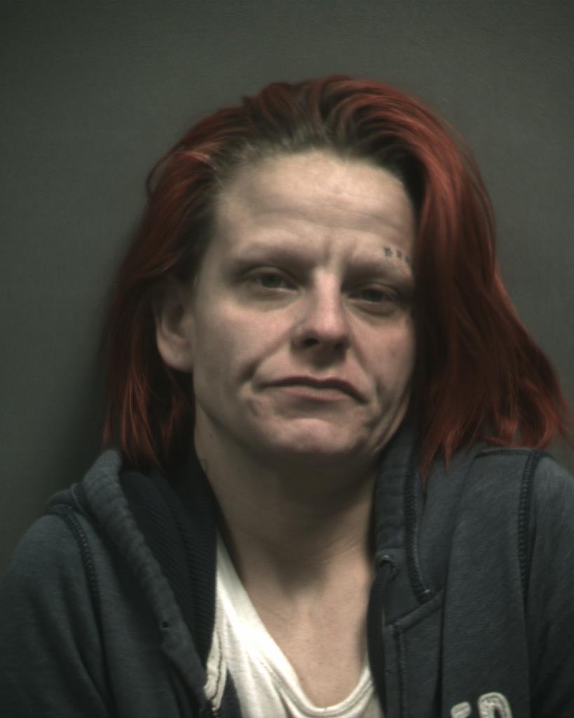 SHELLEY, BRITTNEY ANNE NICHOLE booking photo