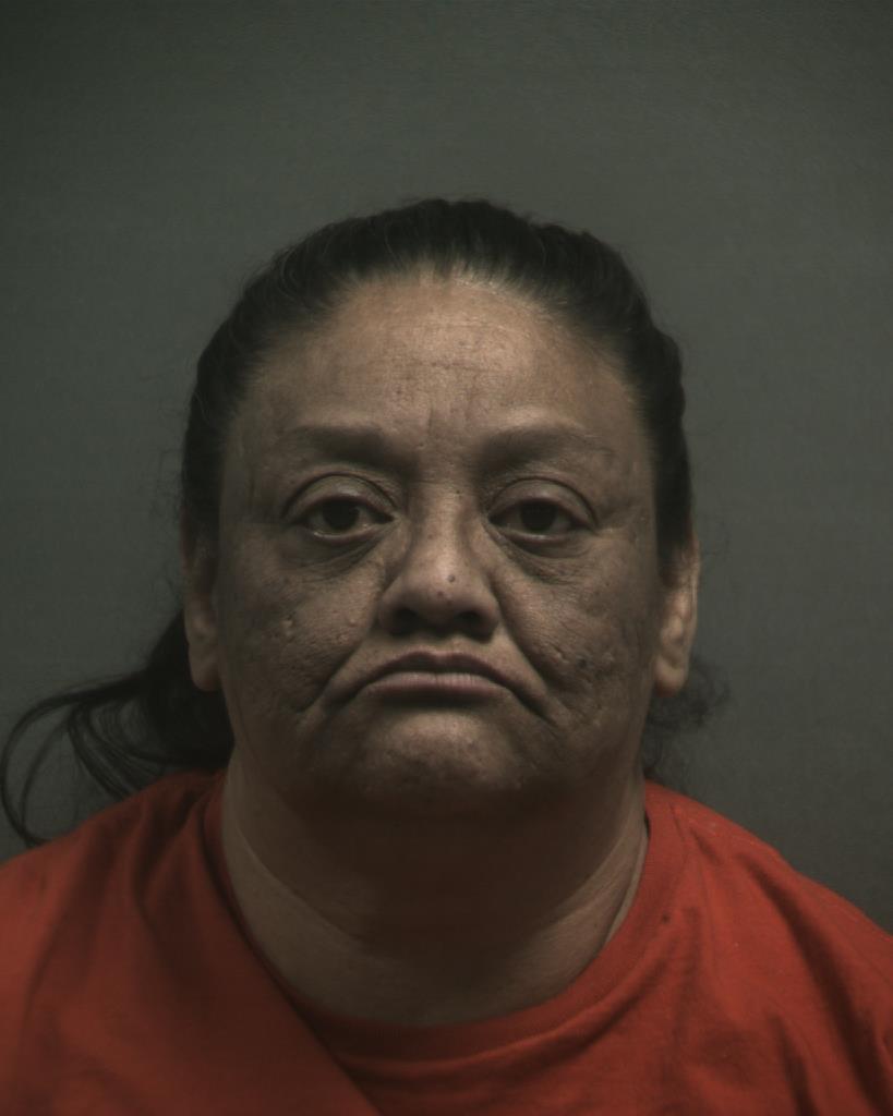 OCHOA, CYNTHIA ANN booking photo