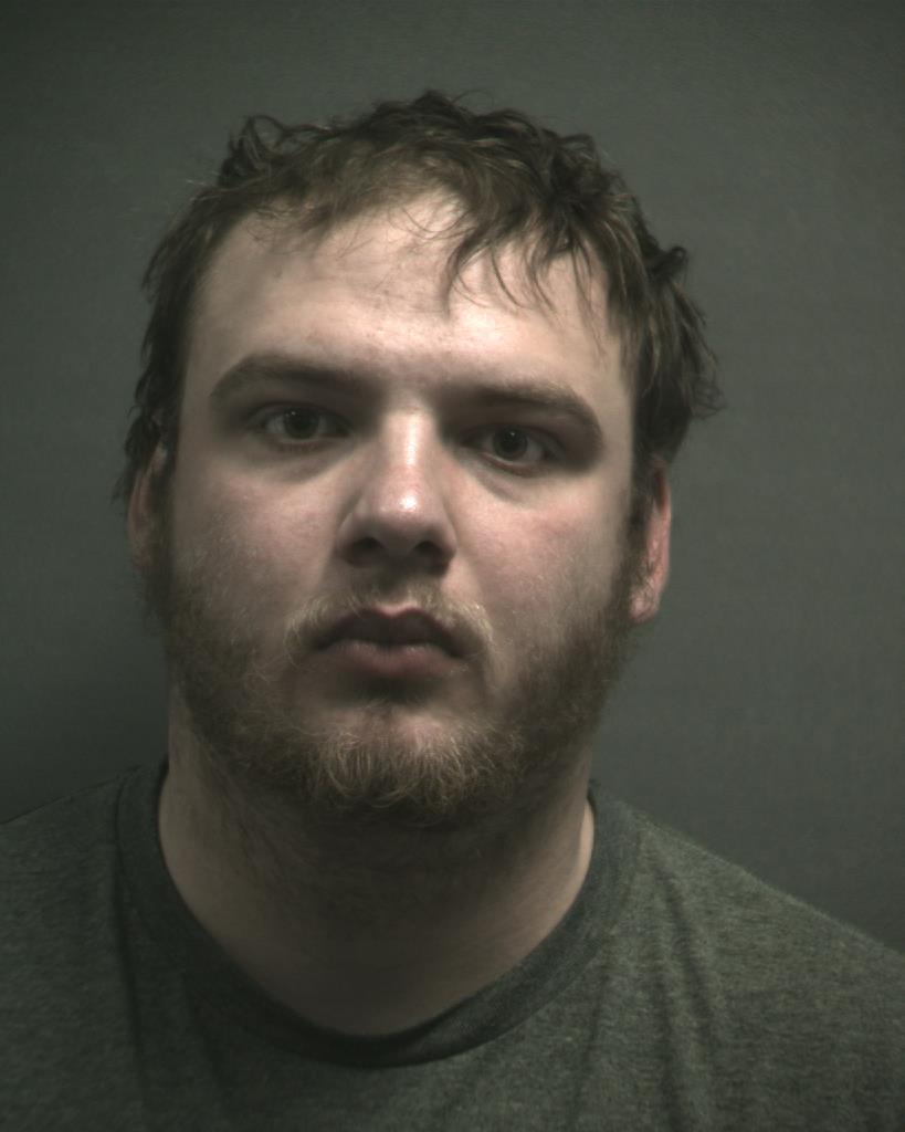 SHELTON, DYLAN LANE booking photo