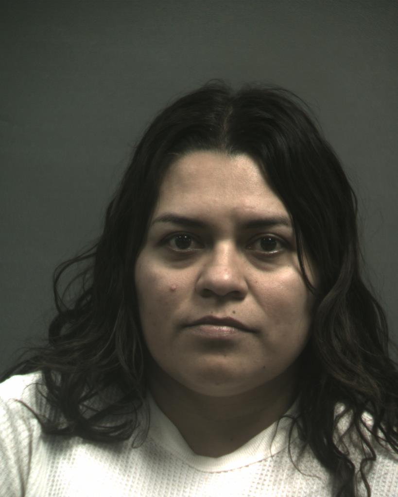 SANCHEZ-GONZALES, JUANA booking photo