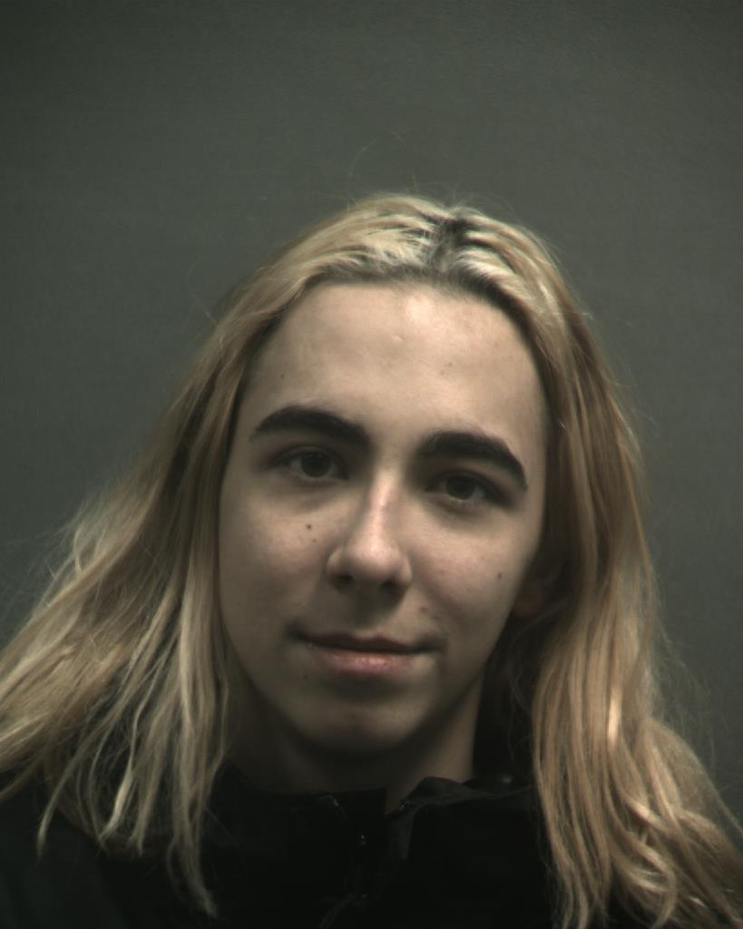 HARRISON, ANAKIN KANE booking photo