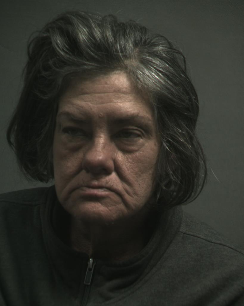 CASTILLO, SANDRA JEAN booking photo