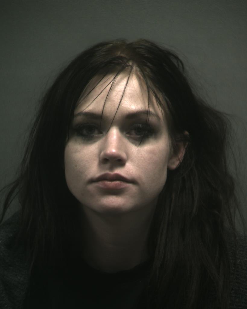 SCHMIDT, FAITH ELAINE booking photo